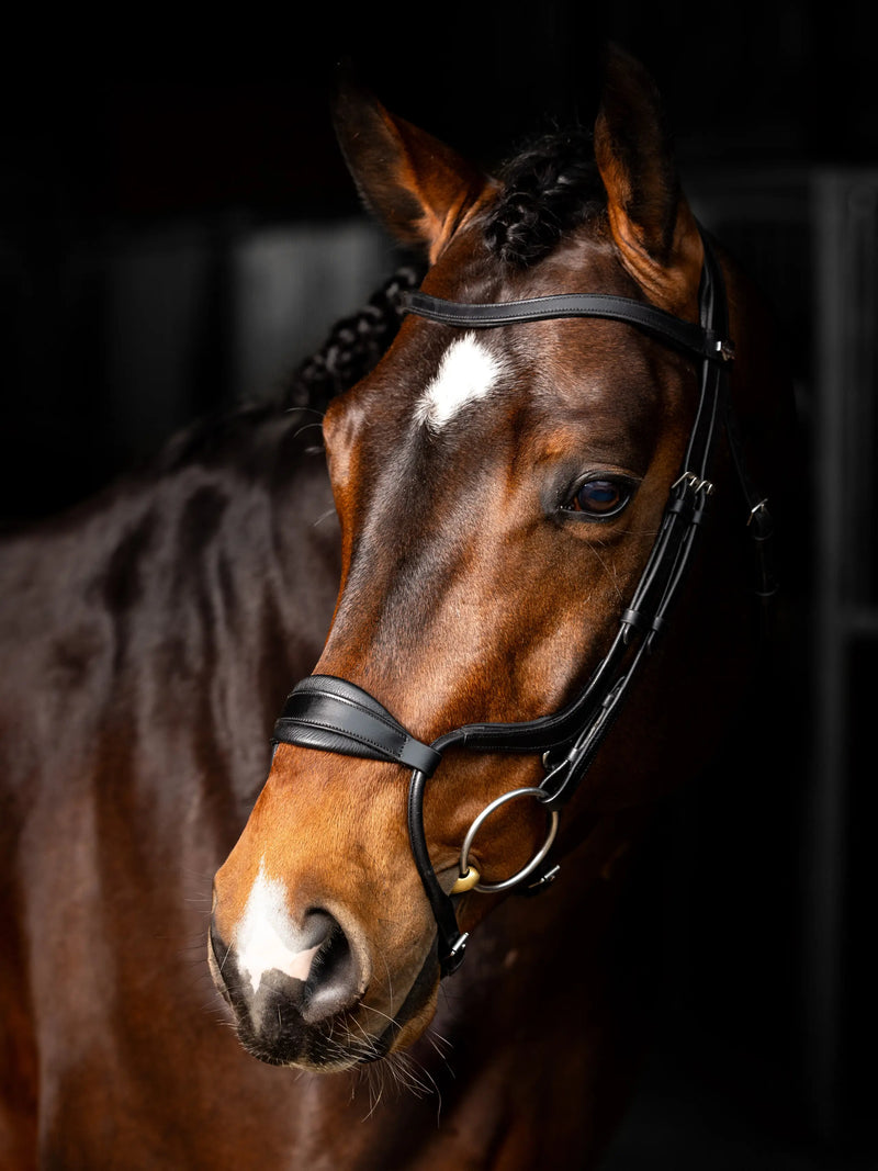 Indlæs billede i Gallery Viewer, LM Arika Adjustable Anatomic Noseband Bridle Black/Silver
