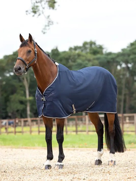 LM(F) CORE Kudos Stable Sheet Navy