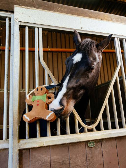 Indlæs billede i Gallery Viewer, LM Horse Toy, One Size, Gingerbread
