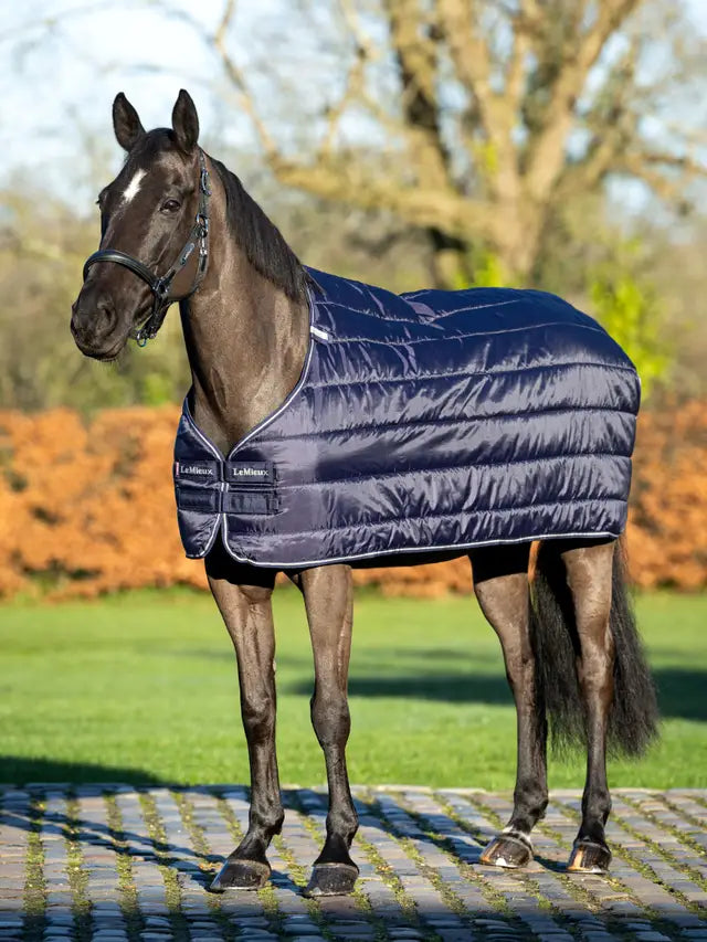 Indlæs billede i Gallery Viewer, LM(F) CORE Rug Liner 50g Navy
