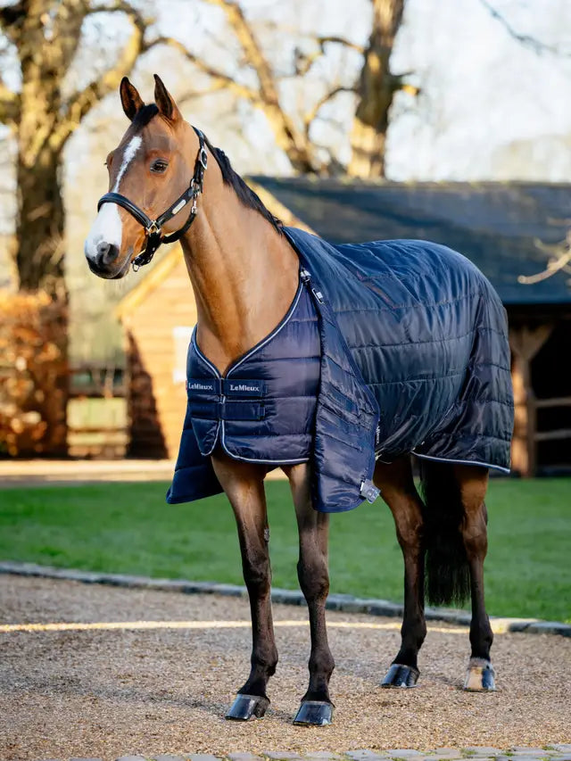 Indlæs billede i Gallery Viewer, LM(F) CORE Rug Liner 50g Navy
