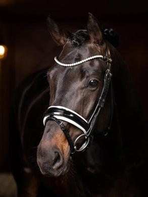 LM Ice Crystal Browband Black