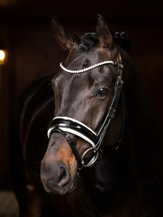 LM Ice Crystal Browband Black