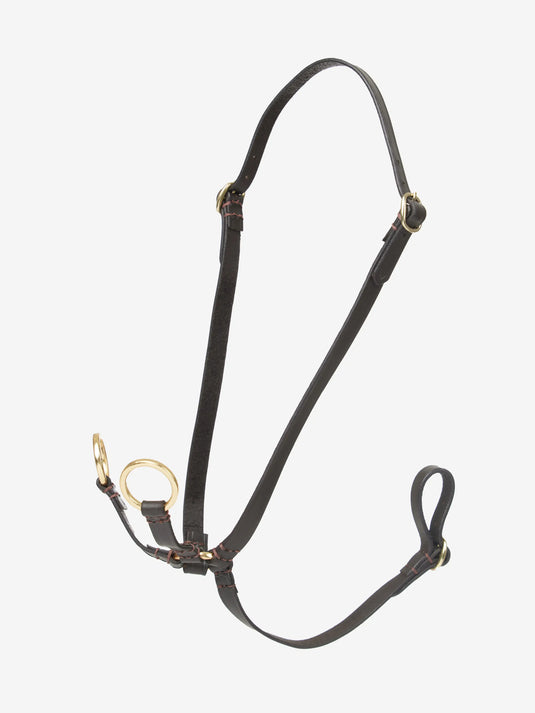 SS25 Hobby Horse Running Martingale Brown