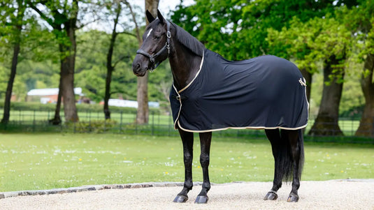 LM(F) CORE Competition Scrim Cooler Black