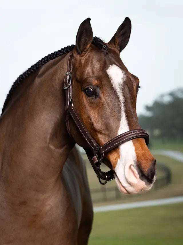 Indlæs billede i Gallery Viewer, LM(F) CORE Stitched Hunter Headcollar Havana
