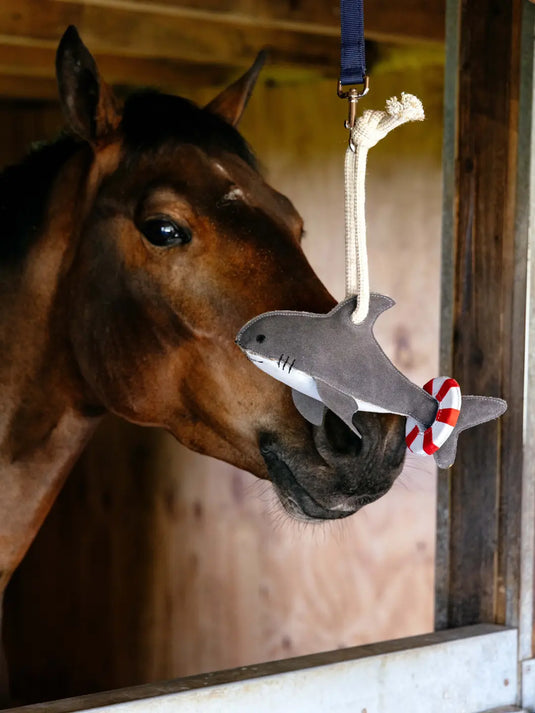 LM Horse Toy, SHARK