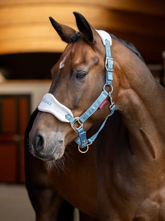 LM Vogue Headcollar  & Leadrope Ice Blue