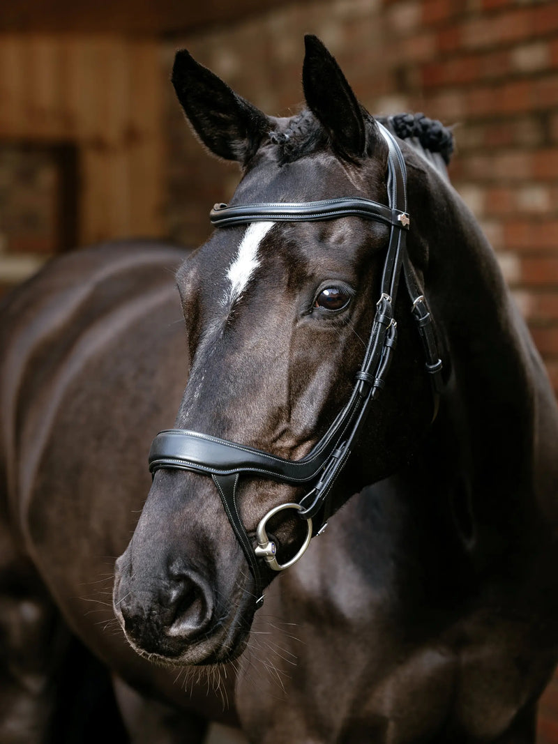 Indlæs billede i Gallery Viewer, LM(F) Arika Split Noseband Bridle Black
