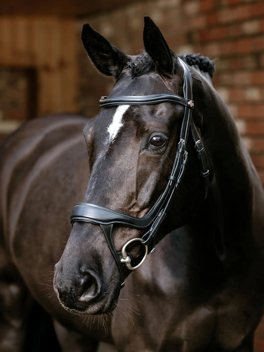 LM(F) Arika Split Noseband Bridle Black