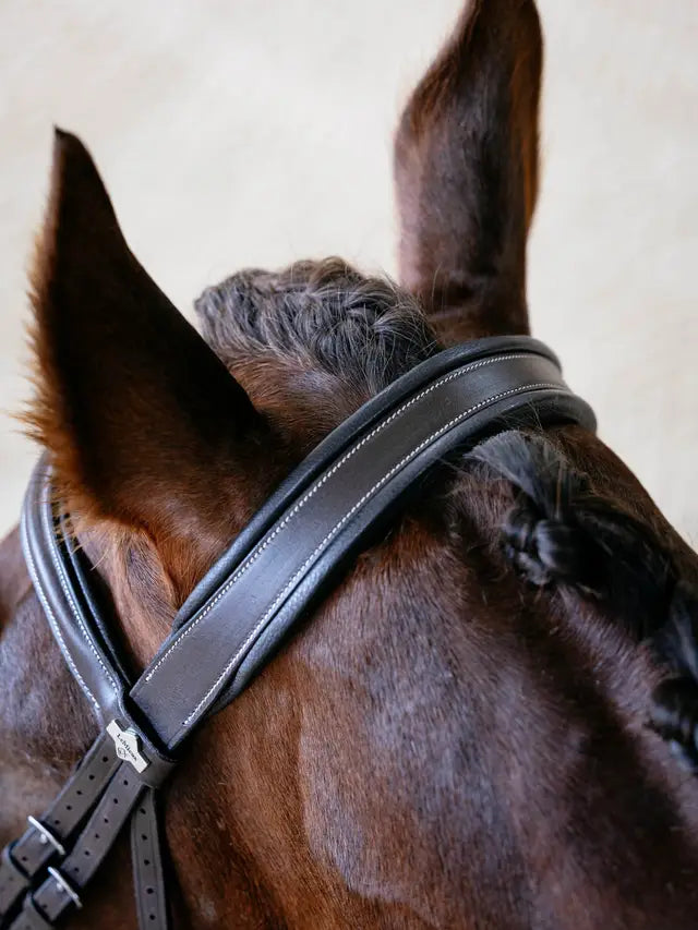 Indlæs billede i Gallery Viewer, LM(F) Arika Split Noseband Bridle Brown
