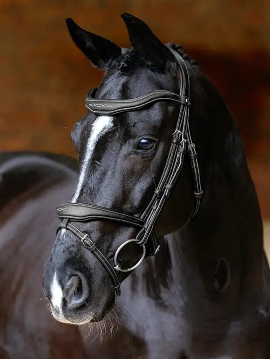 LM(F) CORE Kudos Contour Flash Bridle Black