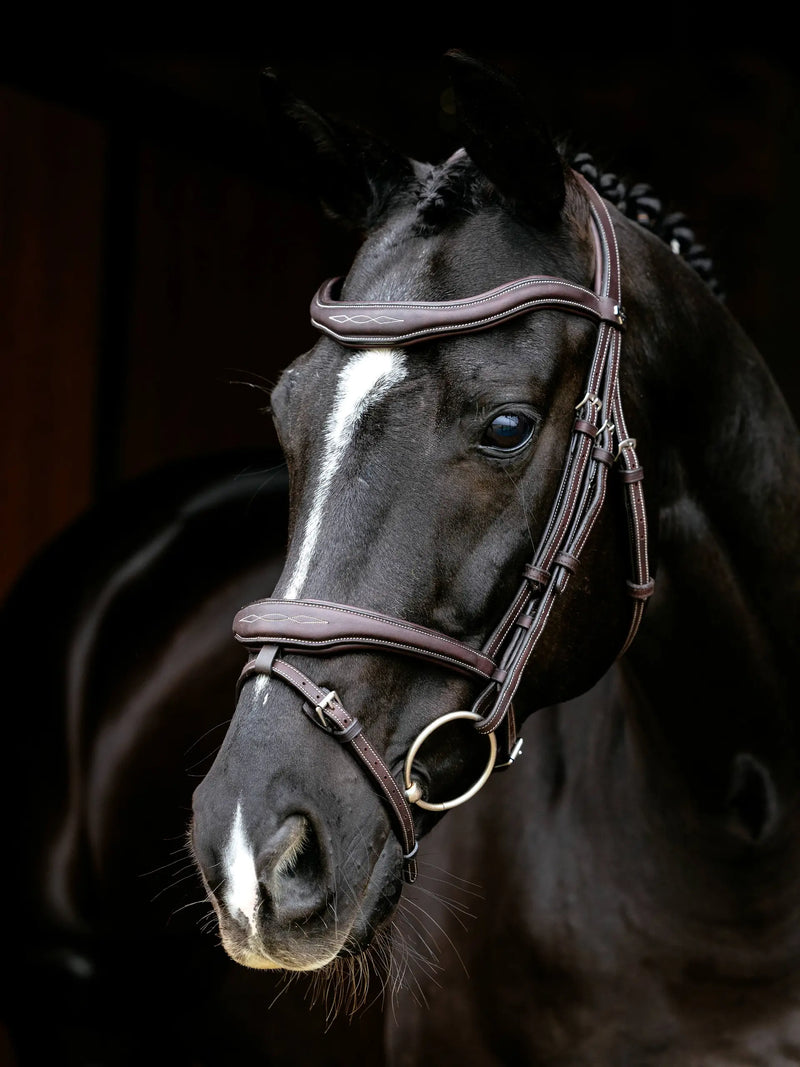 Indlæs billede i Gallery Viewer, LM(F) CORE Kudos Contour Flash Bridle Brown
