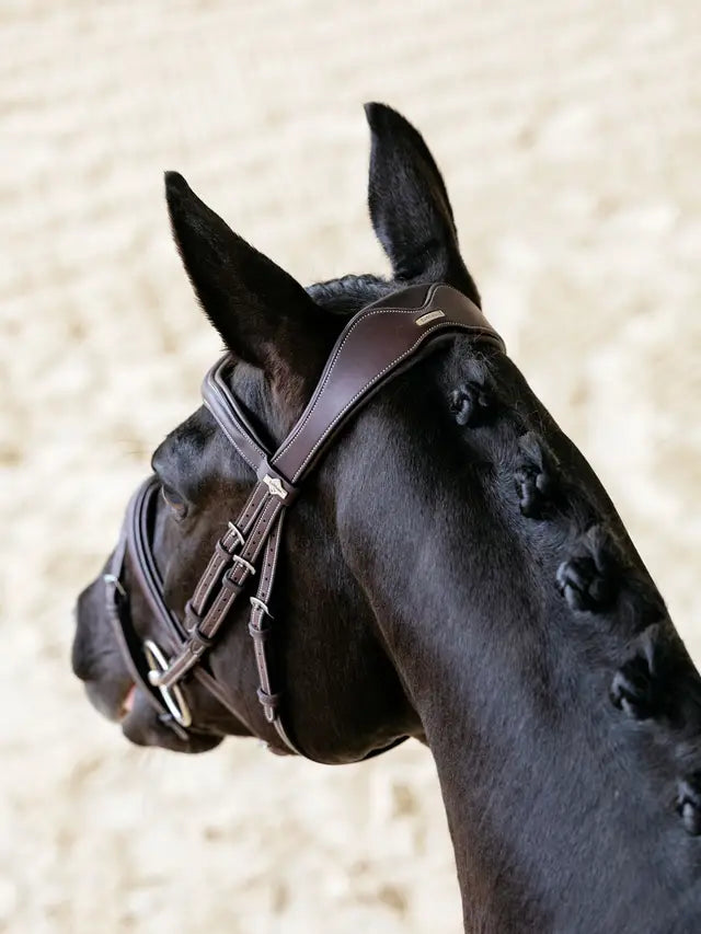 Indlæs billede i Gallery Viewer, LM(F) CORE Kudos Contour Flash Bridle Brown
