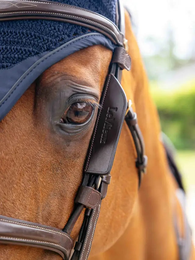 Indlæs billede i Gallery Viewer, LM(F) Leather Bridle Blinkers Havana
