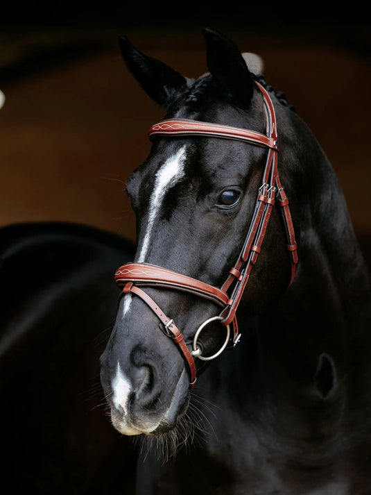 LM(F) CORE Kudos Competition Flash Bridle, Chestnut