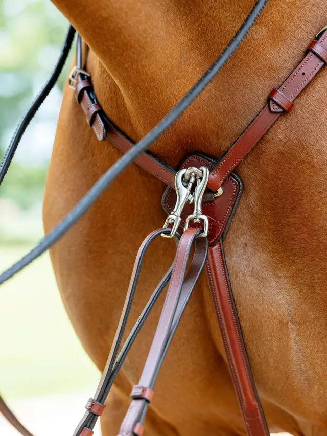 Indlæs billede i Gallery Viewer, LM(F) CORE Breastplate (D-Ring) Chestnut
