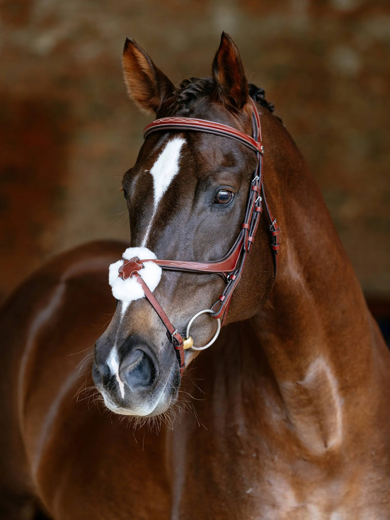 Indlæs billede i Gallery Viewer, LM(F) CORE Kudos Grackle Bridle, Chestnut
