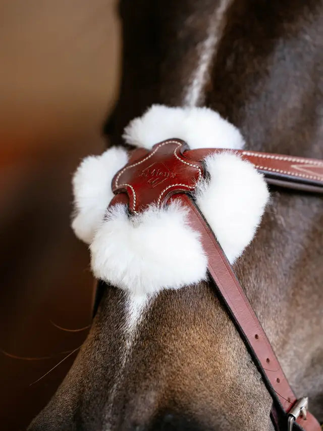 Indlæs billede i Gallery Viewer, LM(F) CORE Kudos Grackle Bridle, Chestnut
