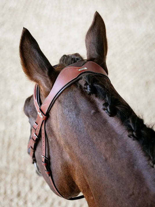 LM(F) CORE Kudos Grackle Bridle, Chestnut