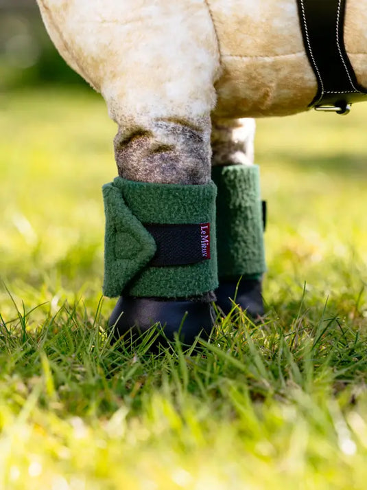 LeMieux Toy Pony Bandage Huntergreen