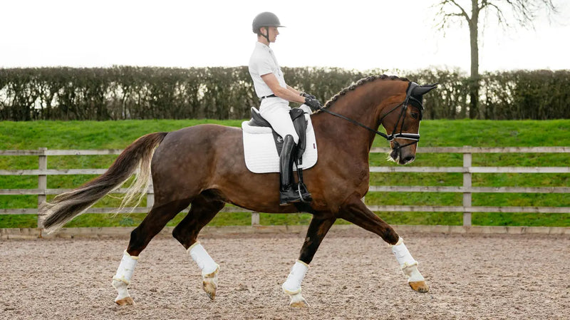Indlæs billede i Gallery Viewer, LM CORE Suede Dressage Square White
