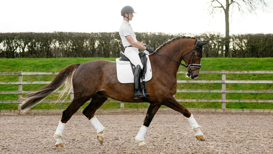 LM CORE Suede Dressage Square White