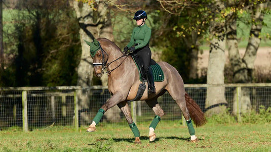 LM(F) CORE Loire Classic Dressage Square Hunter Green