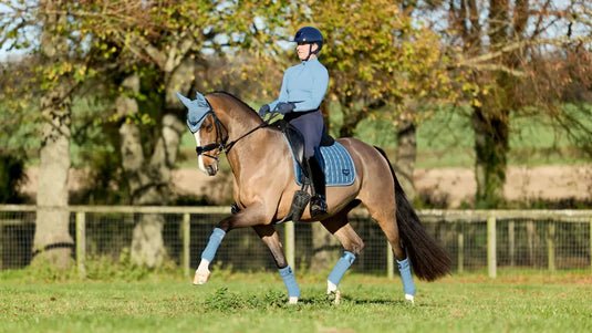 LM(F) CORE Loire Classic Dressage Square Ice Blue