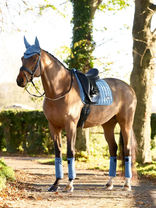 LM(F) CORE Loire Classic Dressage Square Ice Blue