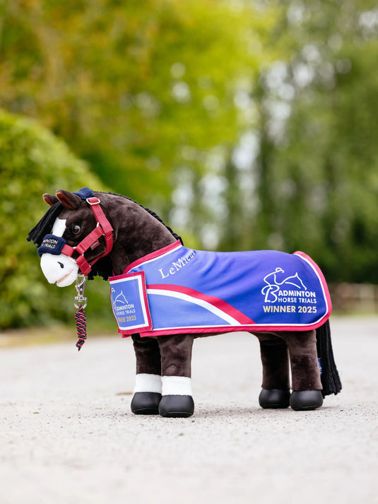 LM Toy Pony Franklin (Limited Edition)