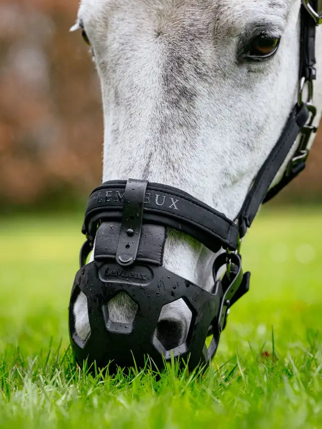 Indlæs billede i Gallery Viewer, Noma Grazing Muzzle Black
