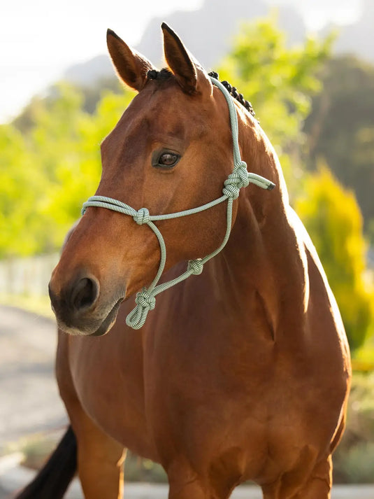 SS26 Rope Halter Macaron