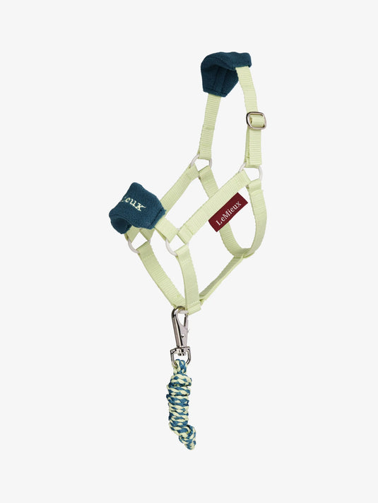 SS26 Hobby Horse Vogue Headcollar & Leadrope Macaron