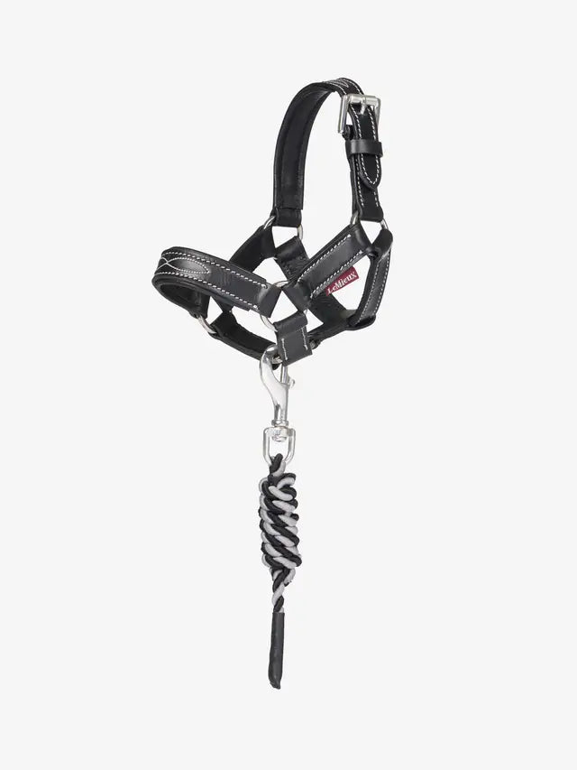 Indlæs billede i Gallery Viewer, LM CORE Toy Pony Leather Headcollar &amp; Leadrope Black
