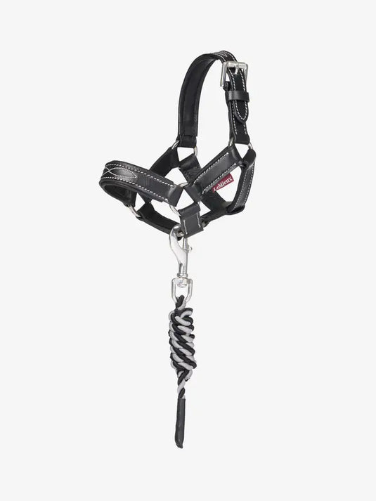 LM CORE Toy Pony Leather Headcollar & Leadrope Black