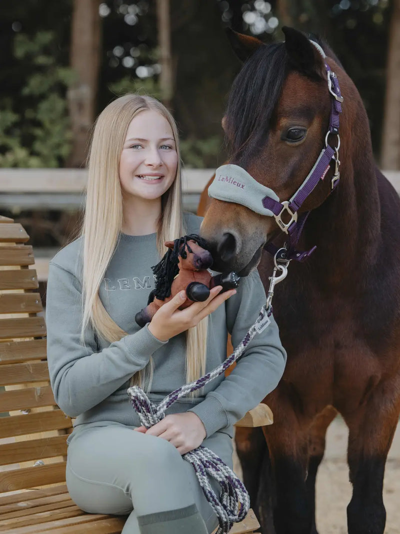 Indlæs billede i Gallery Viewer, LM Harlow Tiny Beanie Pony Rolo
