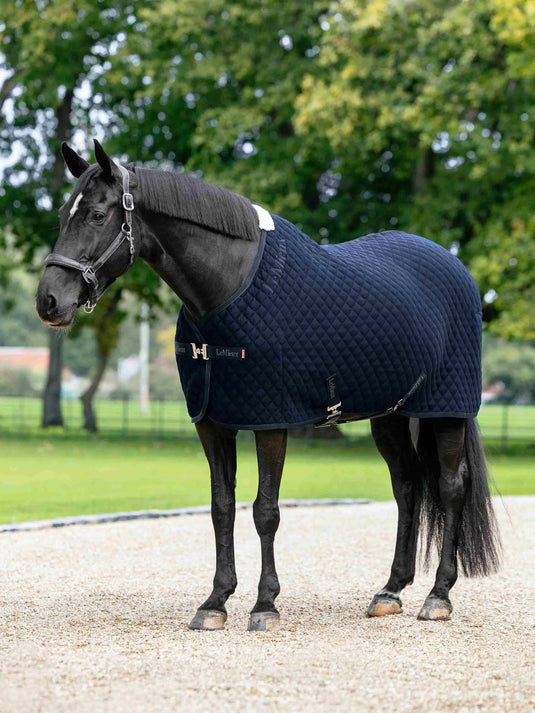 LM(F) CORE Arika Clima-Tek Rug Navy