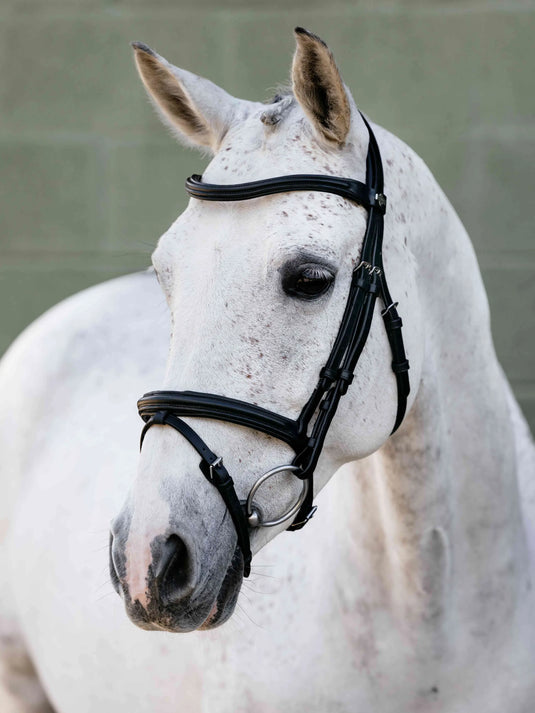 LM Arika Anatomic Flash Bridle Black/Silver