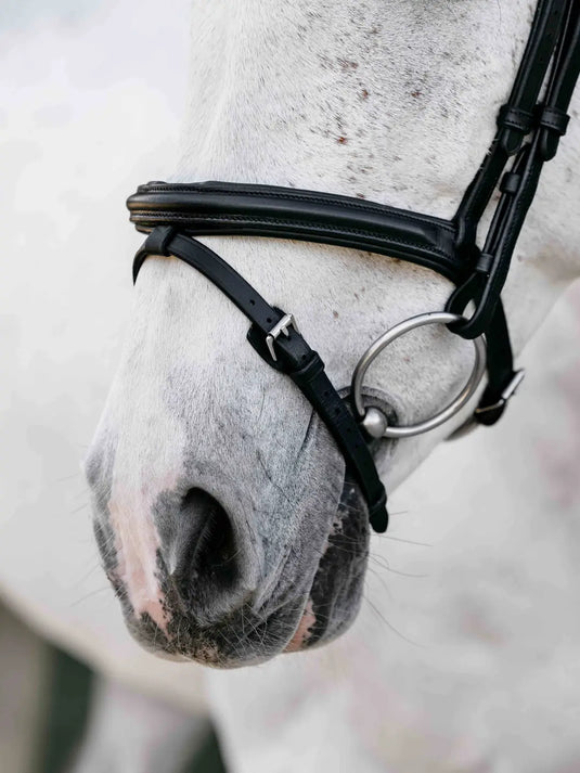 LM Arika Anatomic Flash Bridle Black/Silver