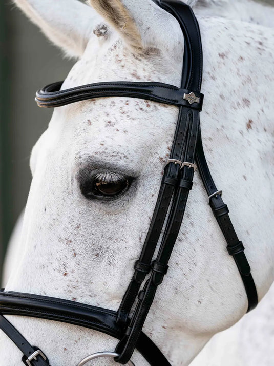 LM Arika Anatomic Flash Bridle Black/Silver