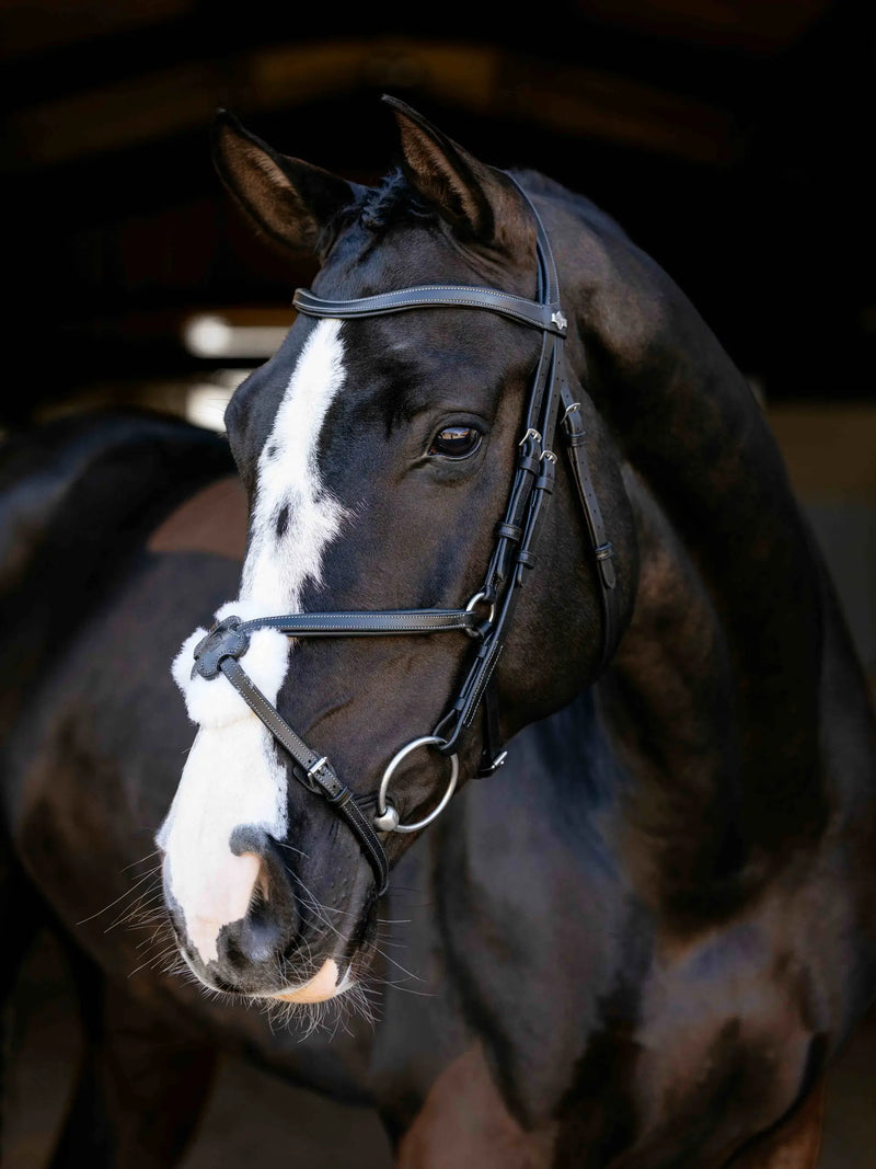 Indlæs billede i Gallery Viewer, LM(F) CORE Arika Grackle Bridle Black/Silver
