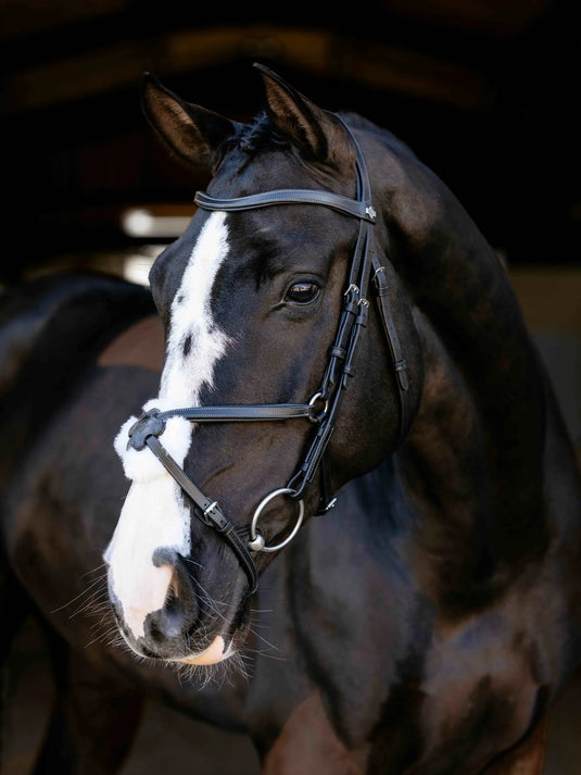 LM(F) CORE Arika Grackle Bridle Black/Silver