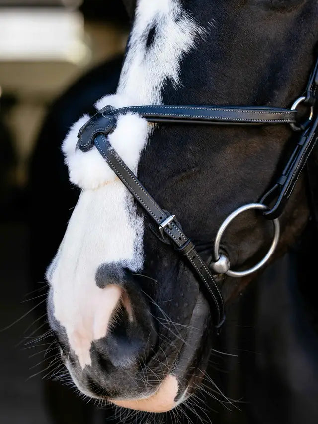 Indlæs billede i Gallery Viewer, LM(F) CORE Arika Grackle Bridle Black/Silver
