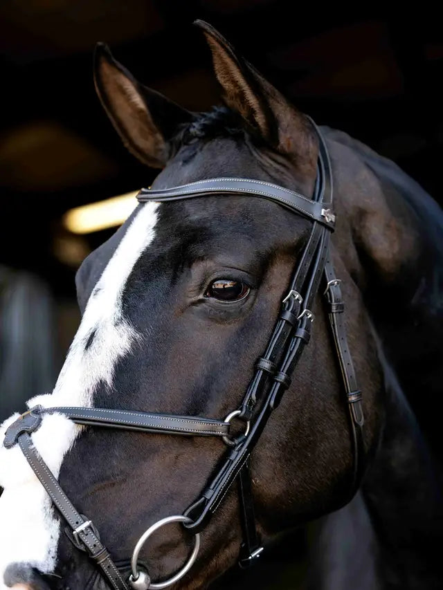 Indlæs billede i Gallery Viewer, LM(F) CORE Arika Grackle Bridle Black/Silver

