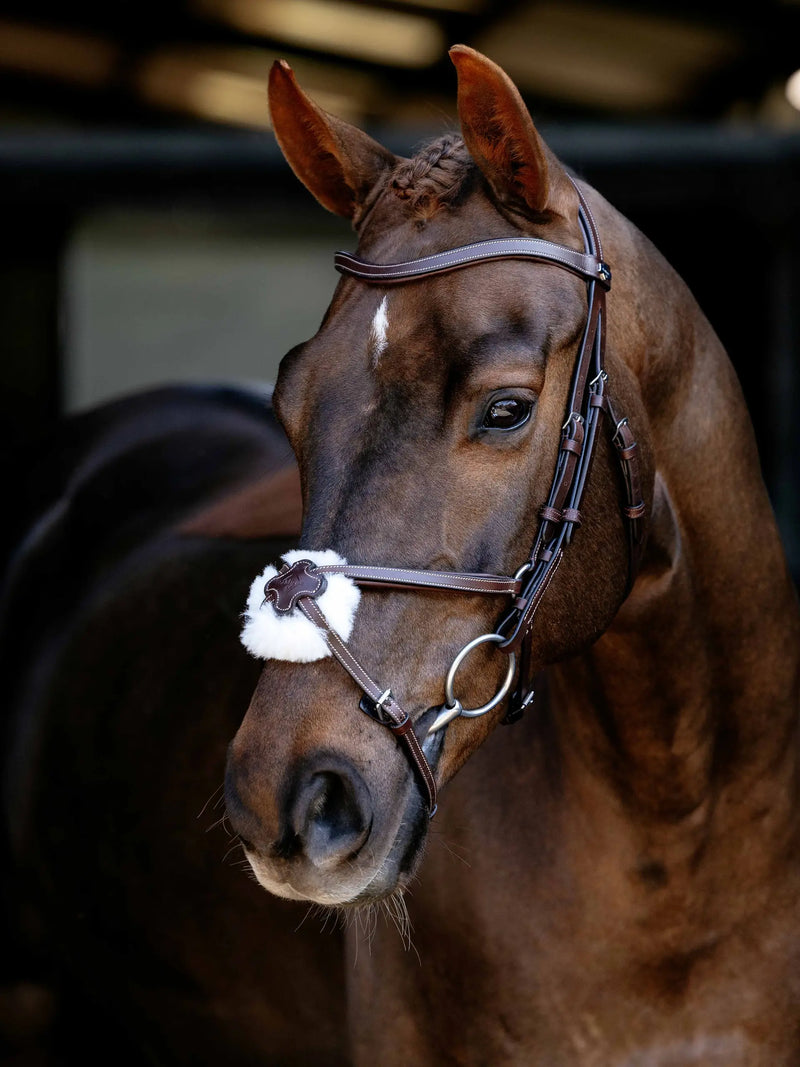 Indlæs billede i Gallery Viewer, LM(F) CORE Arika Grackle Bridle Havana/Silver
