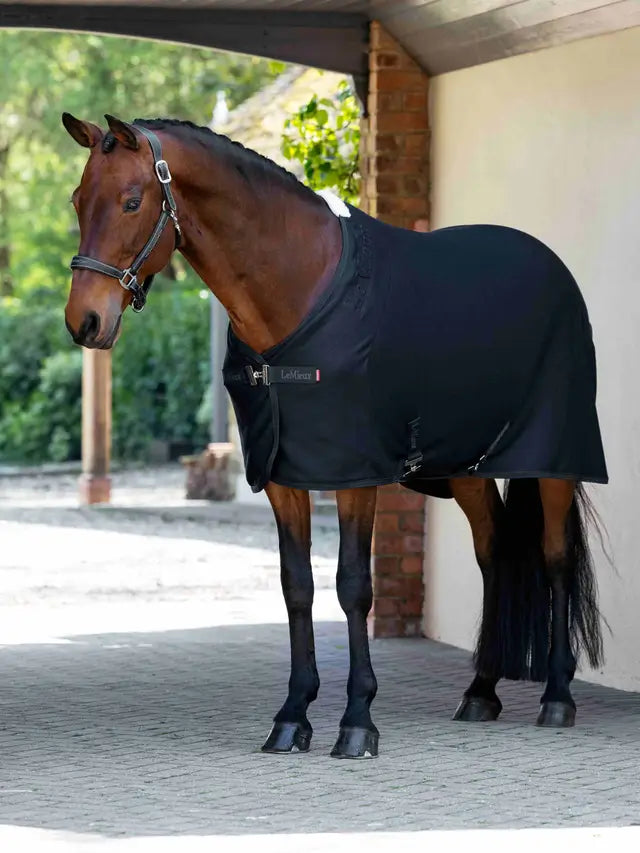 Indlæs billede i Gallery Viewer, LM(F) CORE Arika Jersey-Tek Fleece Black

