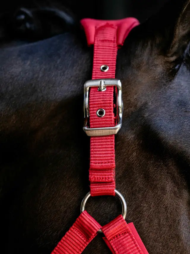 Indlæs billede i Gallery Viewer, LM(F) CORE Breakaway Vogue Headcollar Chilli
