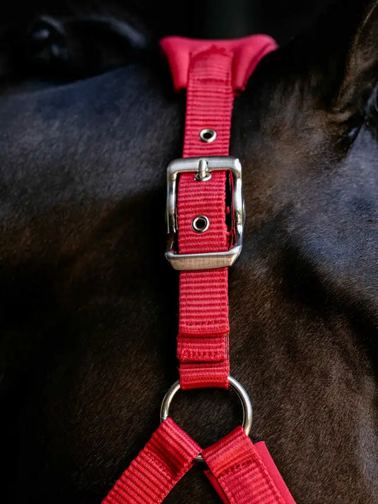 LM(F) CORE Breakaway Vogue Headcollar Chilli