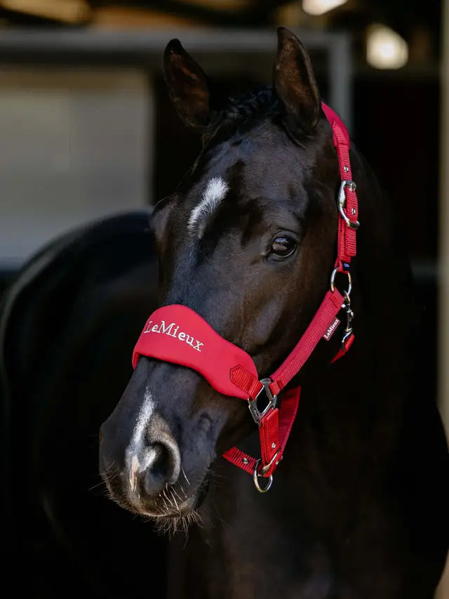Indlæs billede i Gallery Viewer, LM(F) CORE Breakaway Vogue Headcollar Chilli
